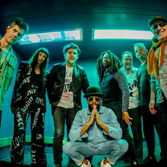 Thievery Corporation artist